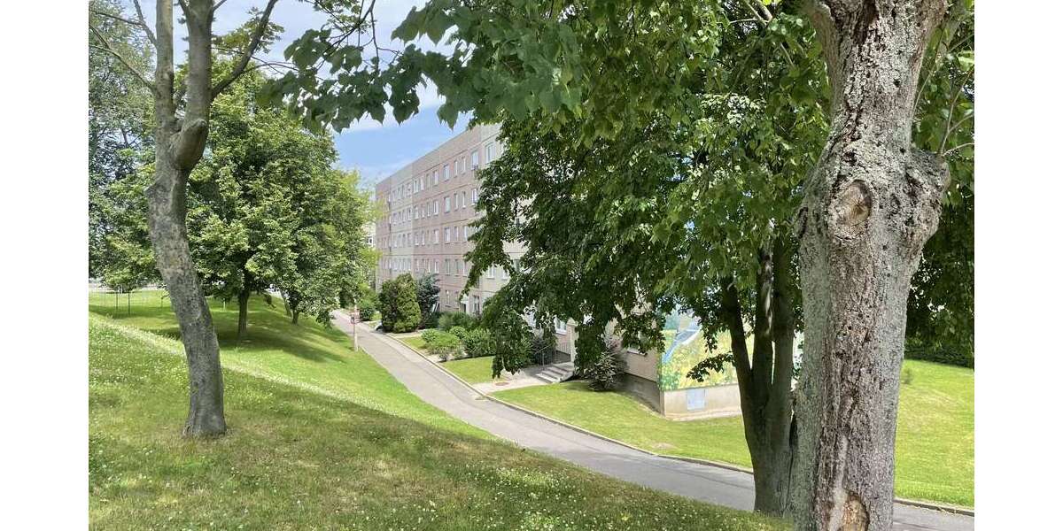 Gemütliche 1-Zimmer-Wohnung im HP mit Balkon und Dusche - Erdgeschoßwohnung Schmölln | Angebot:25897911