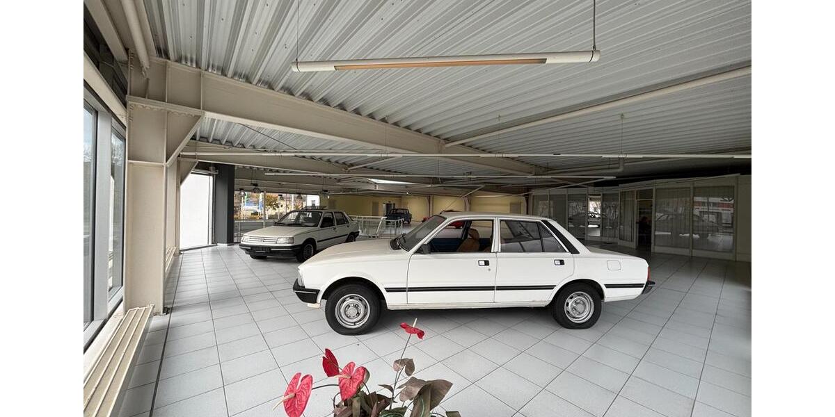 Gewerbeobjekt Gera Debschwitz - 950&euro; | Angebot:18471917