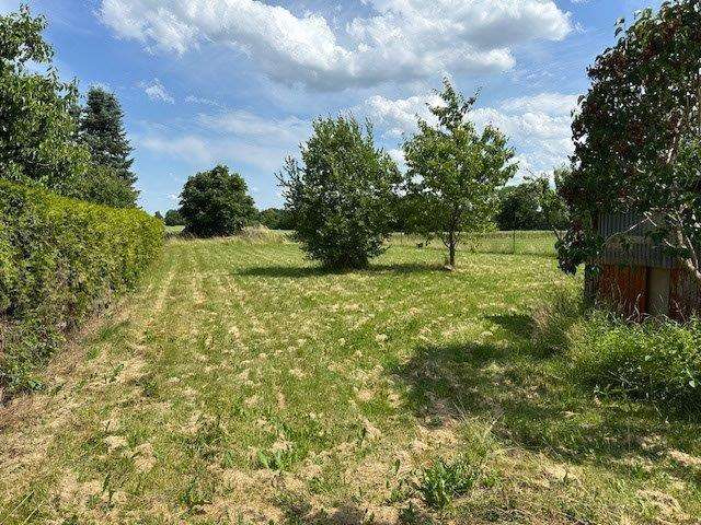 Wohnen auf einer Ebene - Großer sanierungbedürftiger Bungalow mit viel Potenzial - Einfamilienhaus Triptis | Angebot:24542218