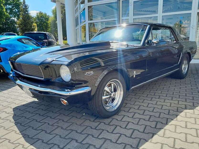 Mustang