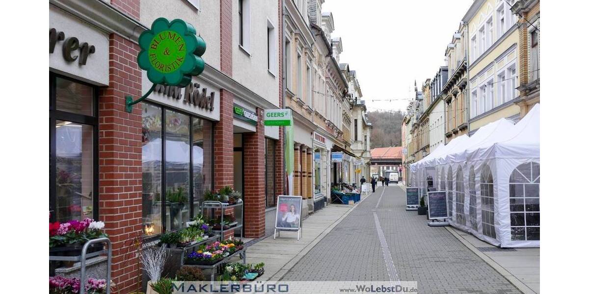 Singlewohnung im Einzeldenkmal mit Lift 2 zimmer