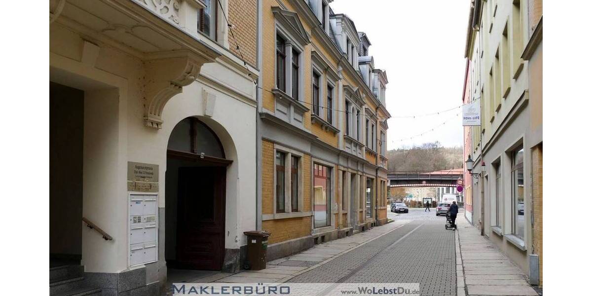 Kleine Wohnung im Einzeldenkmal und am Park 2 zimmer
