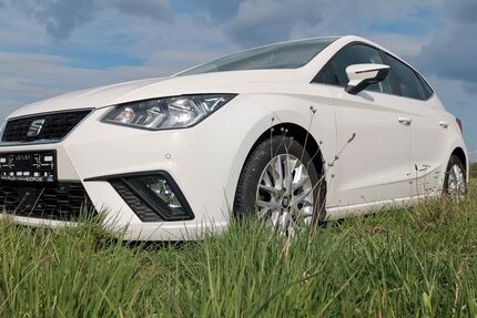 Seat Ibiza 169.590 km 8.299 &euro; Schleifreisen 07629