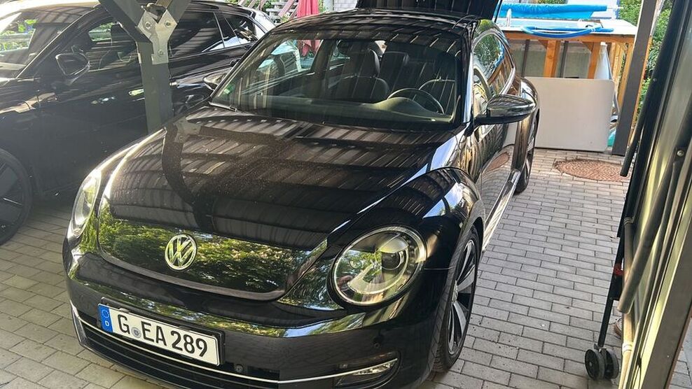 Beetle