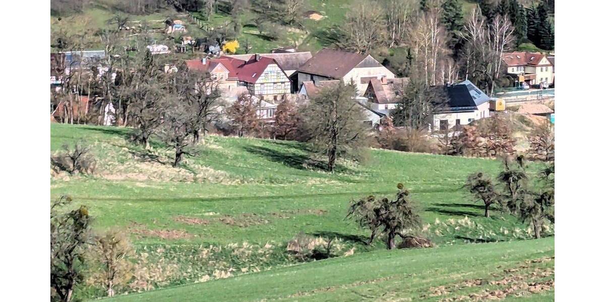 Grundstück Eisenberg Kursdorf - 99.495&euro; | Angebot:25695949