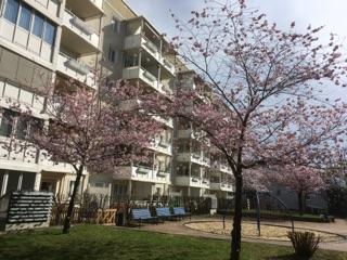 Wohnung Gera Lusan - 3 Zimmer, 70 m&sup2;, 415&euro; | Angebot:26266559