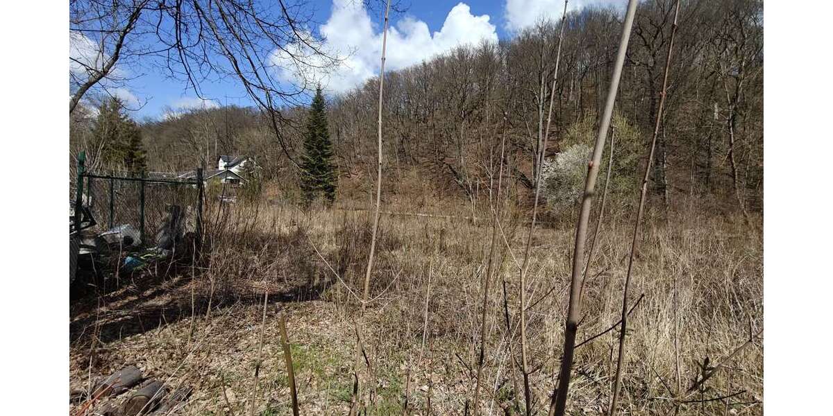 Grundstück in Werdau 49.000 € 2010 m² zimmer