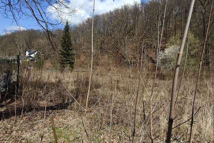 Grundstück Werdau - 49.000&euro; | Angebot:20433190