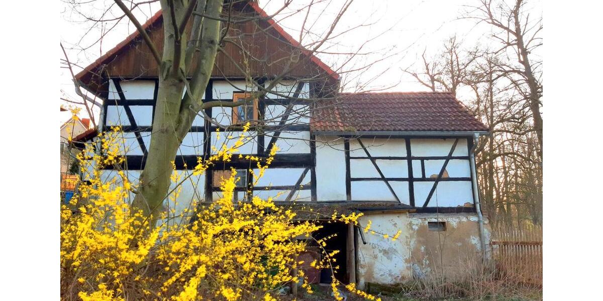 Einfamilienhaus Langenbernsdorf - 6 Zimmer, 140 m&sup2;, 39.000&euro; | Angebot:26764020