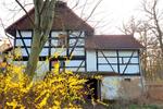 Einfamilienhaus Langenbernsdorf - 6 Zimmer, 140 m&sup2;, 39.000&euro; | Angebot:26764020