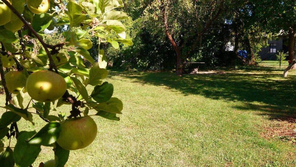 Einfamilienhaus Zeulenroda - 5 Zimmer, 120 m&sup2;, 330.000&euro; | Angebot:25996821