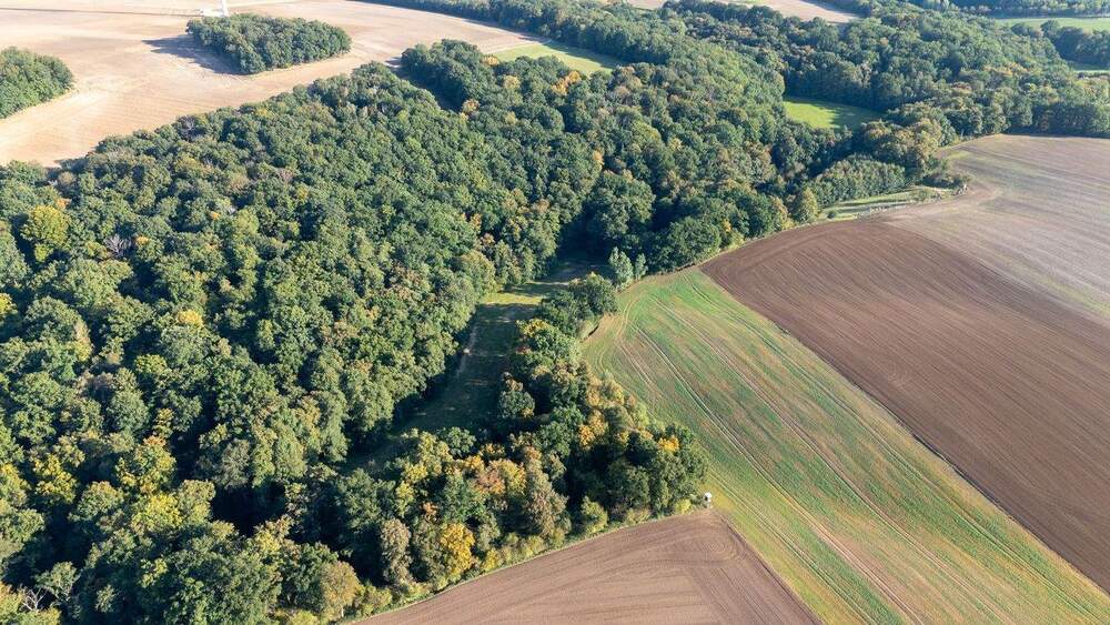 Grundstück Heideland OT Lindau Rudelsdorf - 7.000&euro; | Angebot:25094674