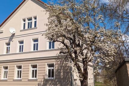 Wohnung Elsteraue - 1 Zimmer, 55 m&sup2;, 550&euro; | Angebot:27595529