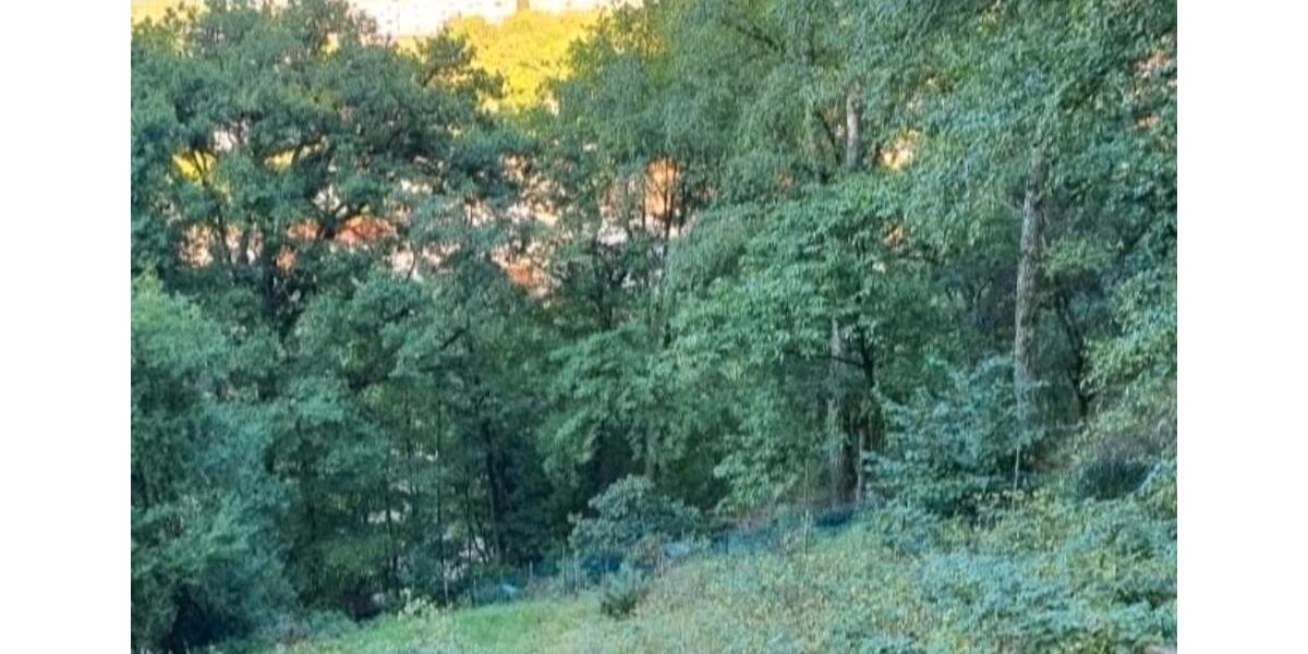 Grundstück Stadtroda - 9.500&euro; | Angebot:26089427