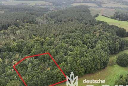 Grundstück Gera / Frankenthal Frankenthal - 9.900&euro; | Angebot:24717423