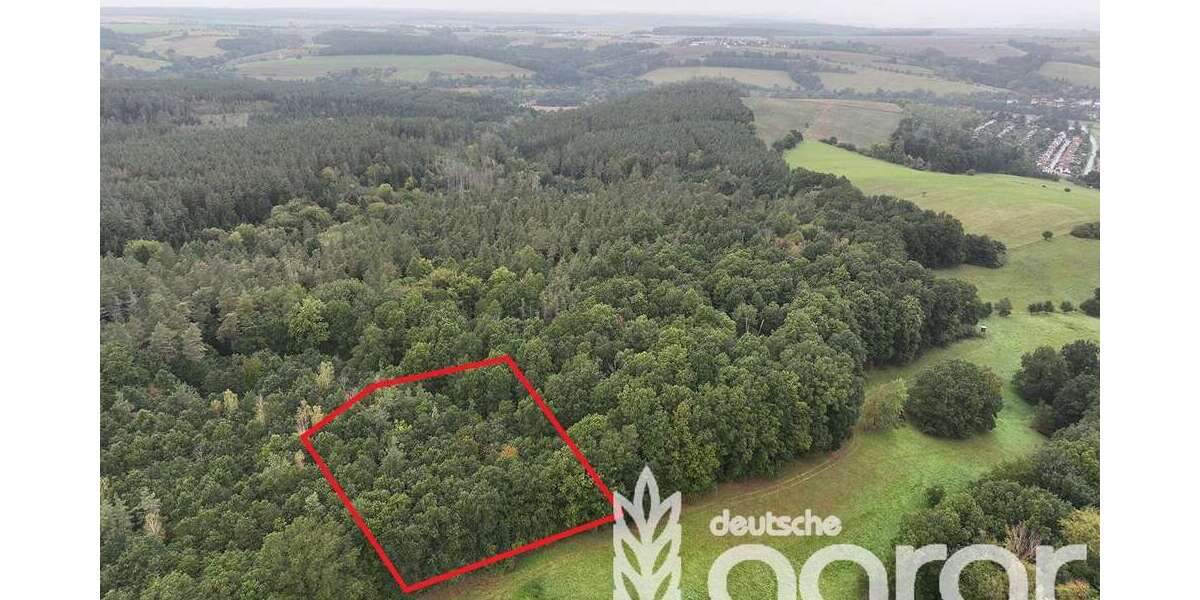 Grundstück Gera / Frankenthal Frankenthal - 9.900&euro; | Angebot:24717423