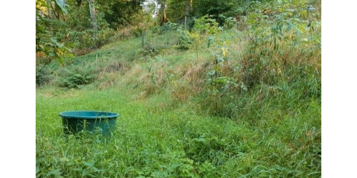 Grundstück Stadtroda - 9.500&euro; | Angebot:26089427