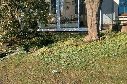 Haus Fraureuth - 4 Zimmer, 100 m&sup2;, 130.000&euro; | Angebot:25995206