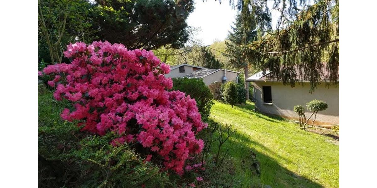 Einfamilienhaus Kraftsdorf - 2 Zimmer, 50 m&sup2;, 34.900&euro; | Angebot:19937427