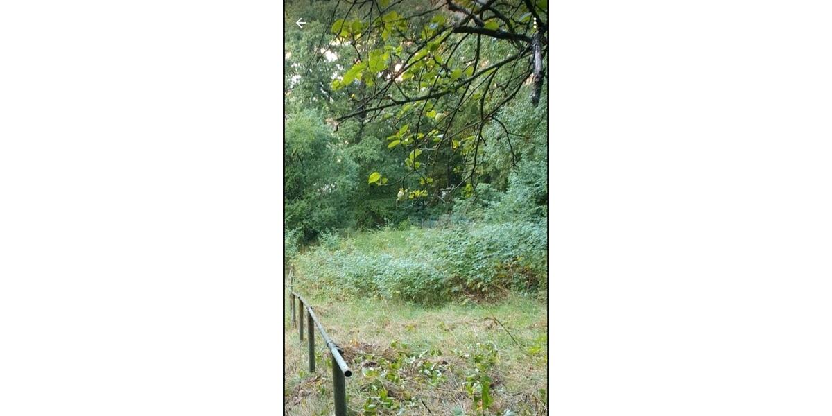 Grundstück Stadtroda - 9.500&euro; | Angebot:26089427