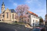 Mehrfamilienhaus, Wohnhaus Altenburg - 1 Zimmer, 329 m&sup2;, 220.000&euro; | Angebot:25928711