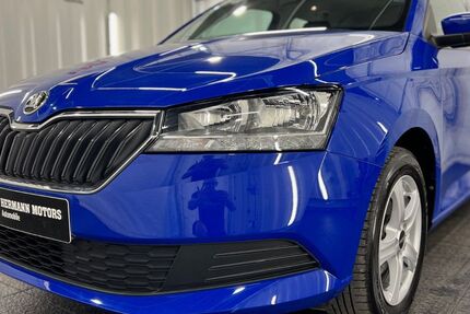 Skoda Fabia 43.164 km 10.947 € Werdau OT Steinpleis 08412