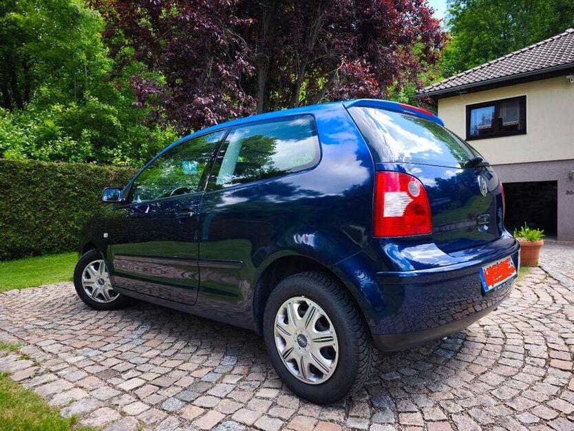 Polo