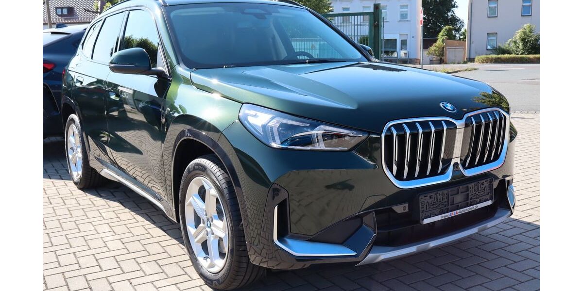 BMW X1 1.200 km 48.990 € Kretzschau 06712