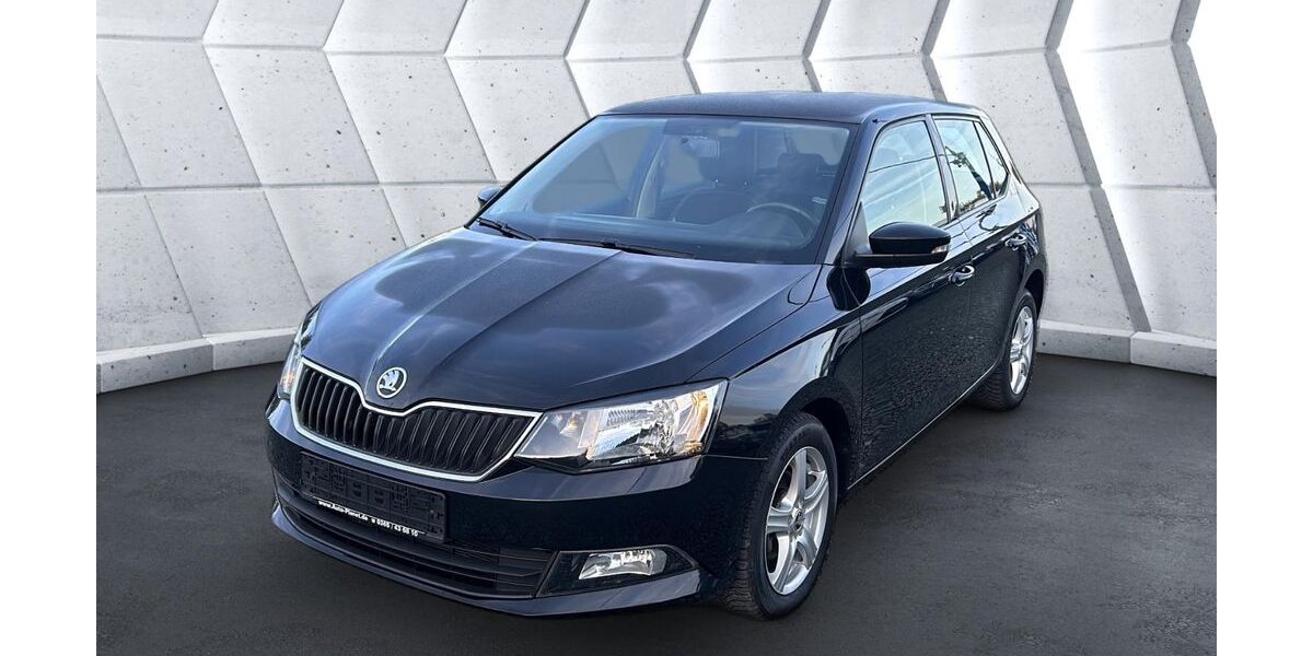 Skoda Fabia 85.591 km 9.999 &euro; Hermsdorf/Schleifreisen 07629