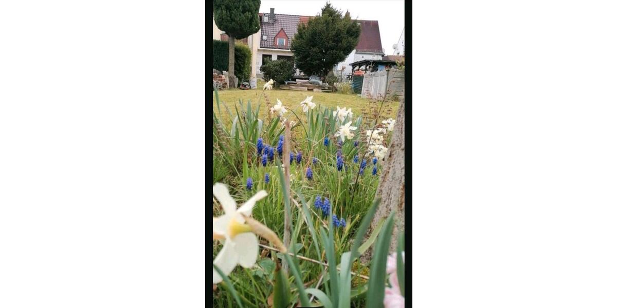 Einfamilienhaus 2 zimmer