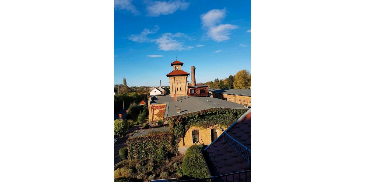 Erdgeschoßwohnung Crimmitschau - 4 Zimmer, 135 m&sup2;, 1.249&euro; | Angebot:24773905