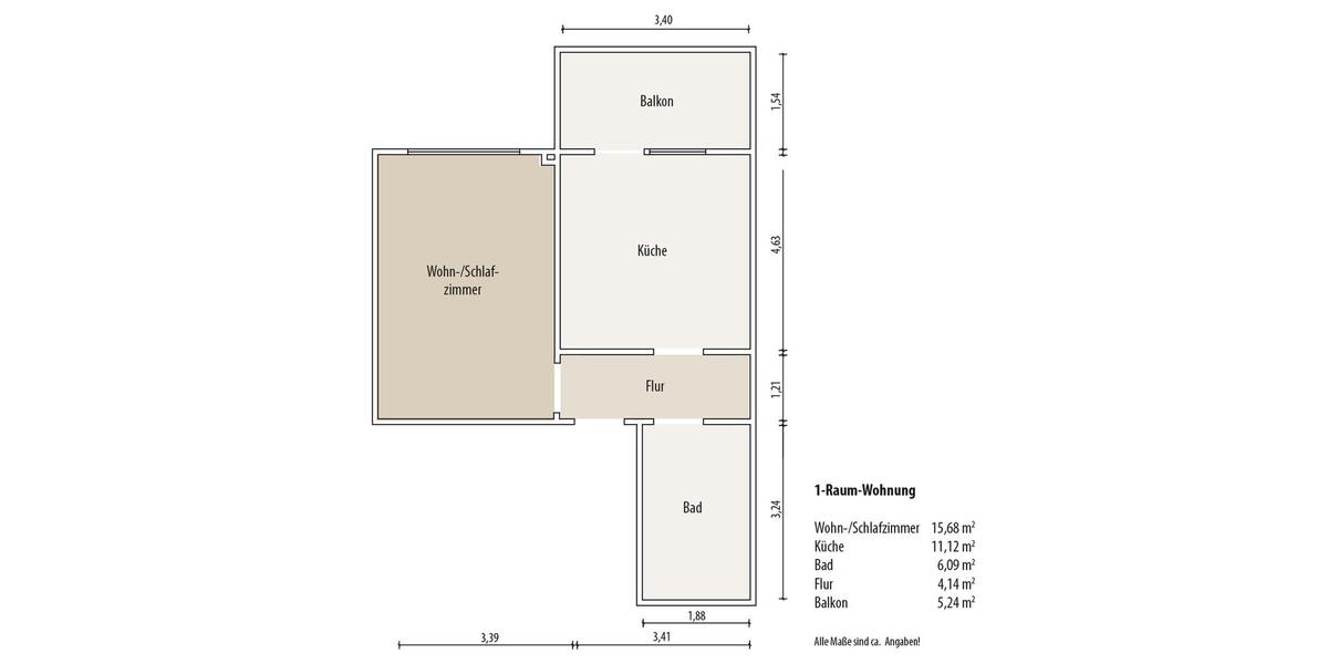 Sanierte 1-Raum-Wohnung in Debschwitz mit Dusche und Aufzug 1 zimmer