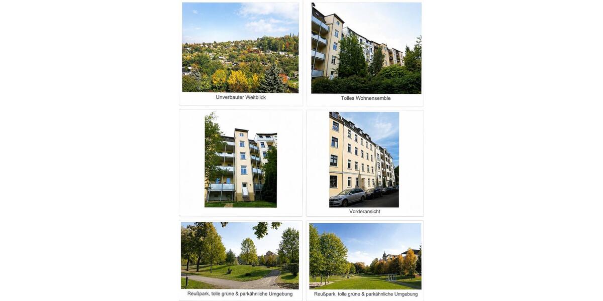 Etagenwohnung Gera Alt-Bieblach - 1 Zimmer, 49 m&sup2;, 317&euro; | Angebot:26621283