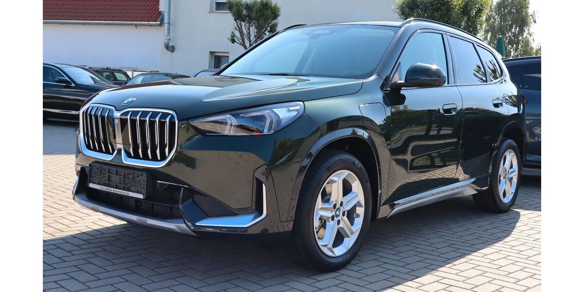 BMW X1 1.200 km 47.990 &euro; Kretzschau 06712
