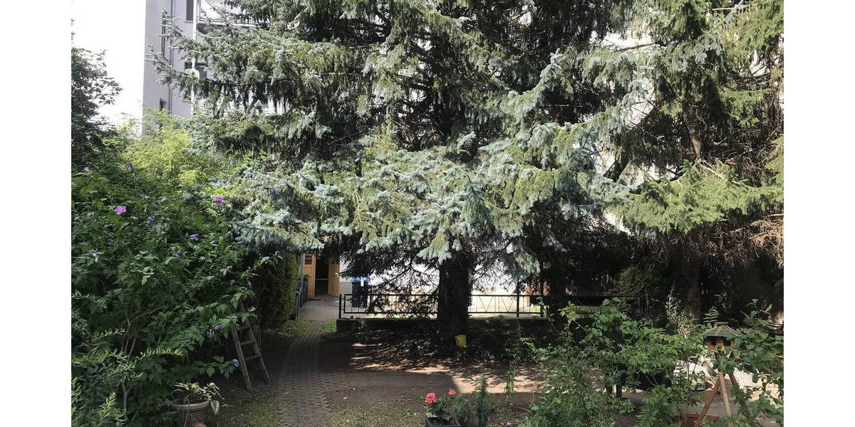 Etagenwohnung Altenburg Rasephas - 4 Zimmer, 90 m&sup2;, 82.000&euro; | Angebot:26763714