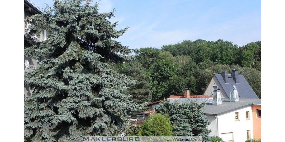 2-Raumwohnung für Anleger oder Selbstnutzer 2 zimmer