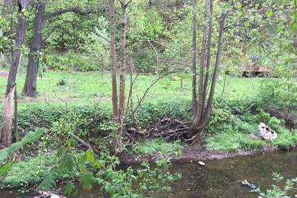 Baugrundstück in zentraler Lage in Werdau mit Blick in den Stadtpark zimmer