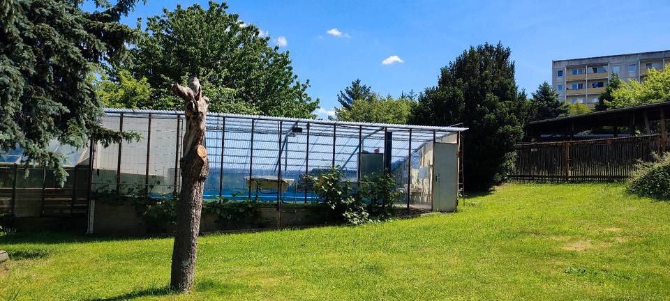 Einfamilienhaus Gera Bieblach-Ost - 280.000&euro; | Angebot:26872048