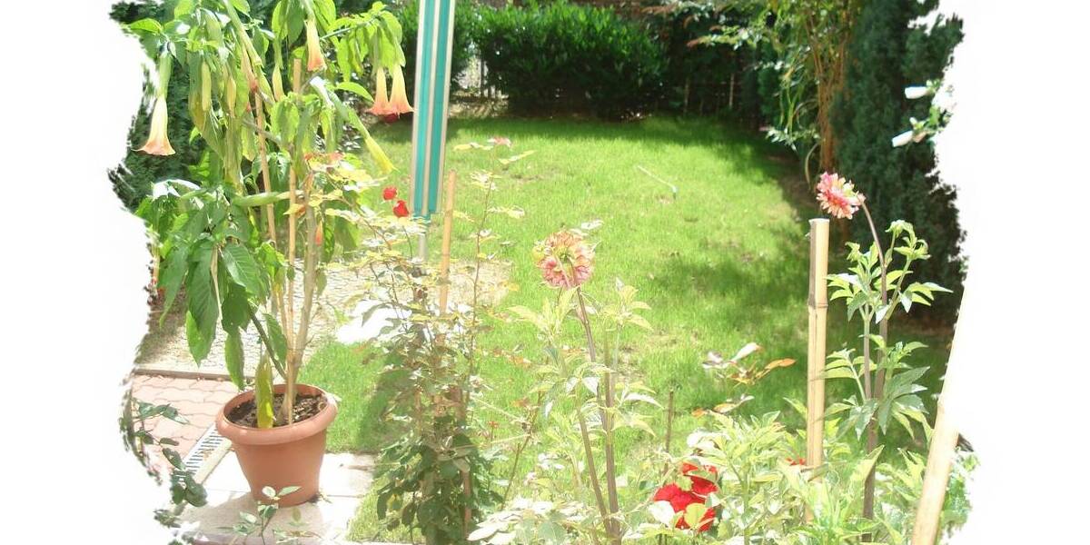 Mehrfamilienhaus, Wohnhaus Altenburg - 1 Zimmer, 275.000&euro; | Angebot:25732567