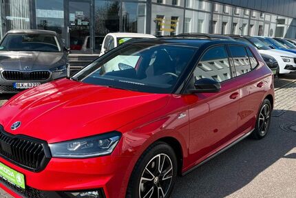 Skoda Fabia 19.635 km 22.800 &euro; Zeitz 06712