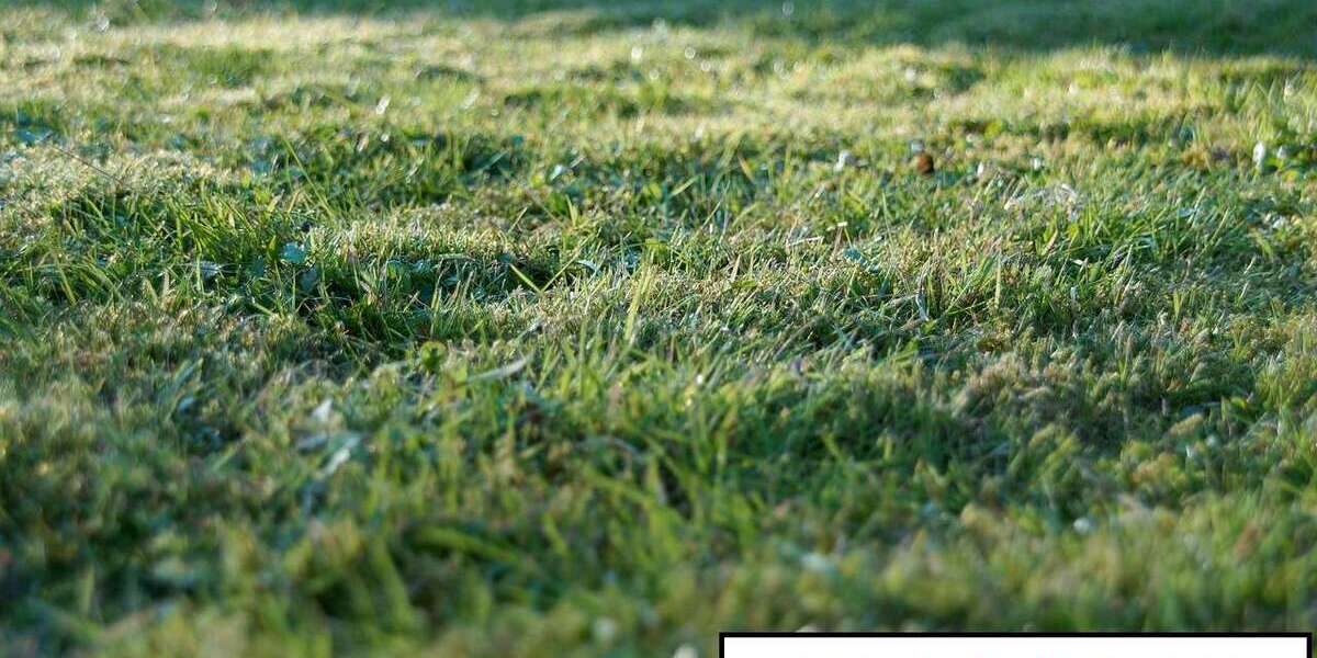 Grundstück zu verkaufen in Neustadt an der Orla 155.500 € 2342 m² zimmer