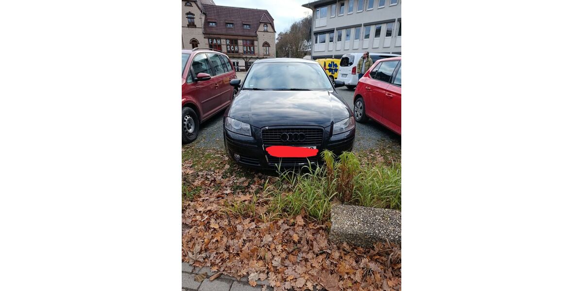 Audi A3 237.293 km 2.900 € Greiz 07973