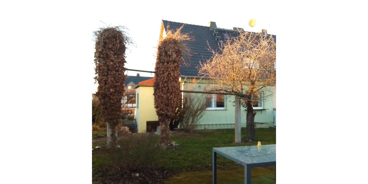 Doppelhaushälfte Langenwetzendorf - 5 Zimmer, 70 m&sup2;, 170.000&euro; | Angebot:26308625