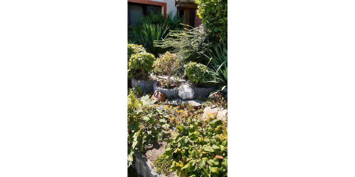 Einfamilienhaus Greiz - 6 Zimmer, 180 m&sup2;, 79.000&euro; | Angebot:22641100