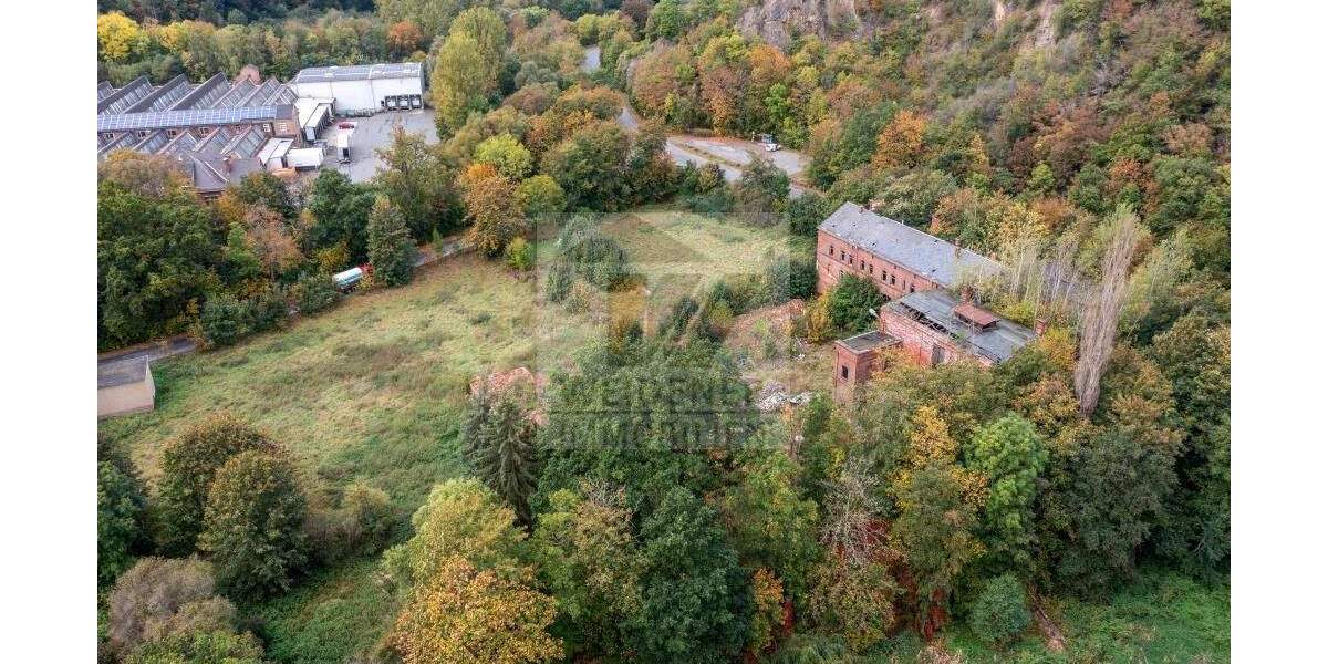 Großzügiges Grundstück in Weida zu verkaufen - ideal für Ihr Bauprojekt! Ohne Bauträgerbindung! zimmer