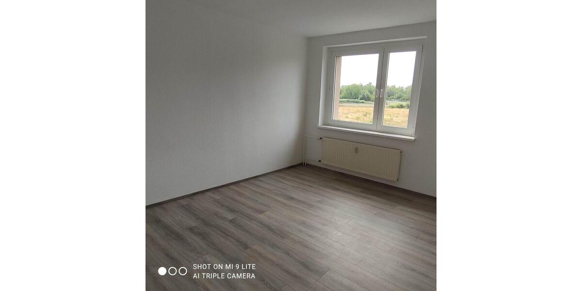 Renovierte 4 ZKB in Elsteraue OT Profen 4 zimmer