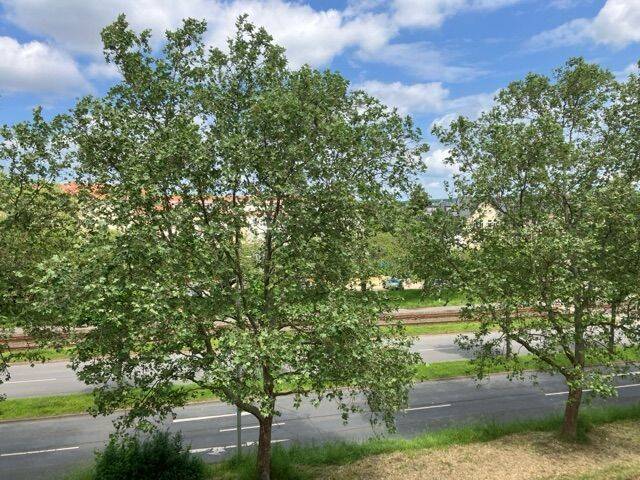 Etagenwohnung Gera Lusan - 2 Zimmer, 58 m&sup2;, 350&euro; | Angebot:26805882