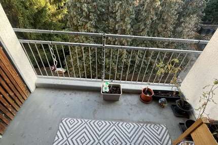 Wohnung zum Kaufen in Meerane 55.500 € 58.76 m² 2 zimmer