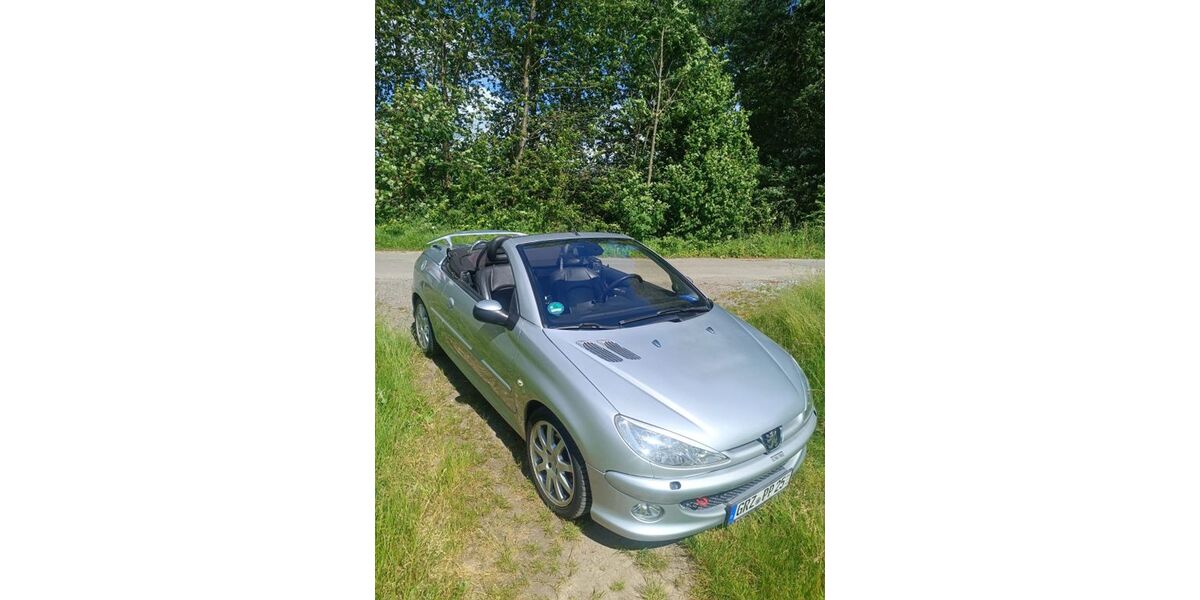 Peugeot 206 145.300 km 1.500 &euro; Berga- Wünschendorf 07980