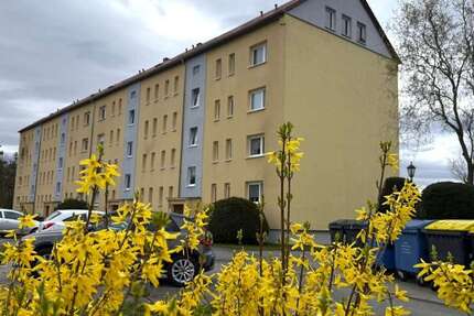 Wohnung zum Kaufen in Werdau 30.000 € 50.82 m² 2 zimmer